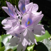 Thumbnail of related posts 015