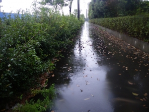 雨降りの通勤ラン