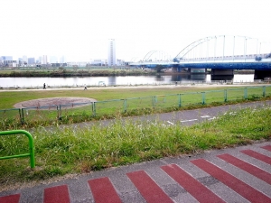 第二京浜の橋を渡って多摩川の川崎側へ