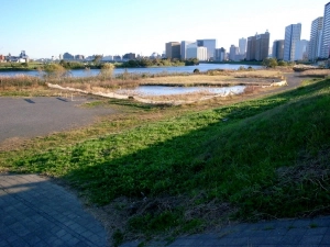 川崎駅周辺のビル群が見えてきた