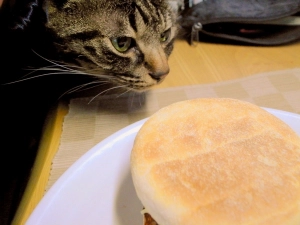 ちょっと、ごめんなさいよ