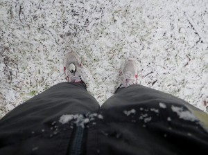 うっすらと積もった雪