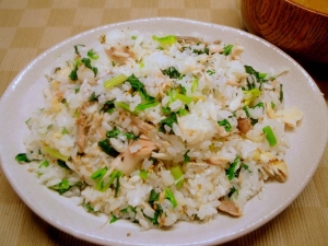 サバの一夜干しとホウレン草のナムル混ぜご飯