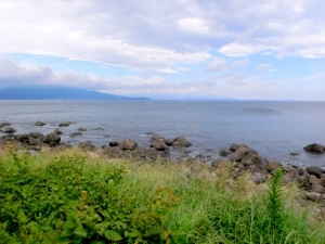 海岸沿いに道がある