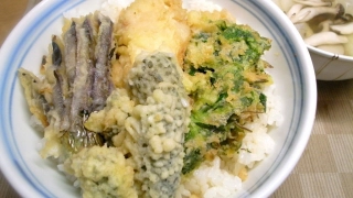 夏の名残を惜しむゴーヤの天丼
