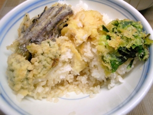残りの天ぷらはフニャフニャだけど、これはこれで美味い