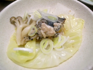 ポン酢と長ネギをかける