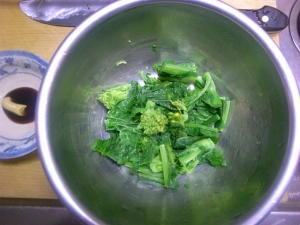 水をしぼった菜の花は切り分けて、醤油と辛子で和える