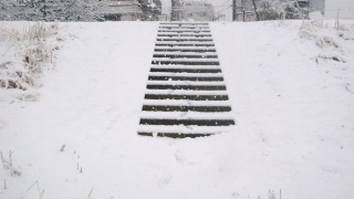 冷たく、白がちなモノクローム世界