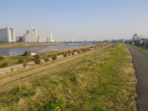 対岸を走る、15kmを過ぎて汗が冷えて少し寒くなってきた