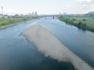 丸子橋から多摩川を望む