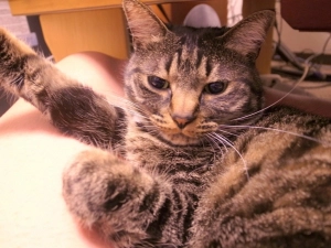 でも、すぐ暑くなるよな