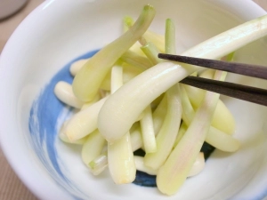香り、歯ごたえ、辛み、ラッキョウは浅漬けがうまい