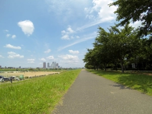 尾根幹・昭島往復20130630_4