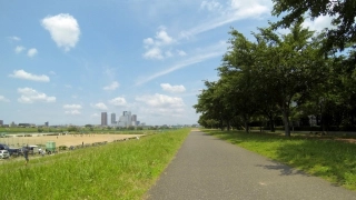 尾根幹・昭島往復20130630_4