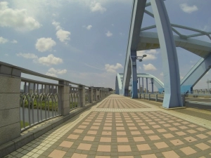 尾根幹・昭島往復20130630_5
