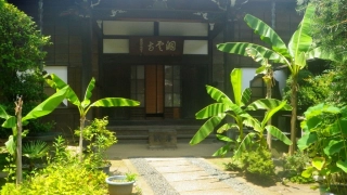 炎天下の墓参り1
