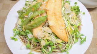 鶏ささみとシシトウの天ぷら、かいわれ蕎麦