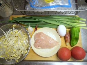 鶏胸肉、ニラ、ピーマン、もやし、ミョウガ、卵、トマト、フォー乾麺