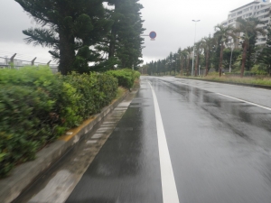 雨の沖縄を行く１