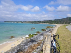 待ち望んでいた海