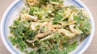 白魚と春菊のかき揚げ丼