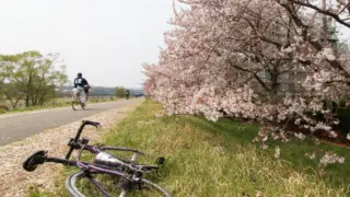 20150412_2