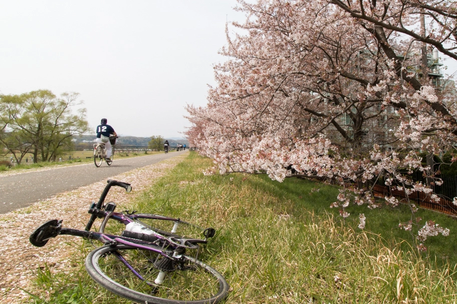 20150412_2