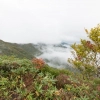 越後駒ケ岳３