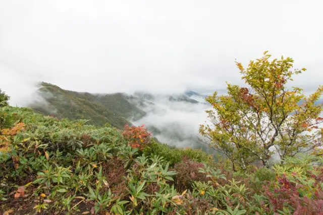 越後駒ケ岳３
