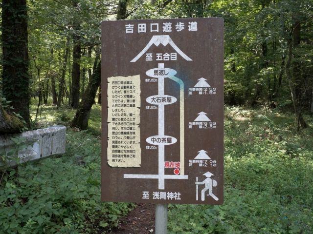 吉田口遊歩道２