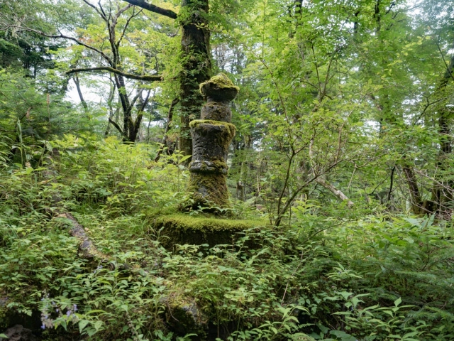 富士登山道３