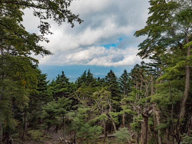 富士登山道５