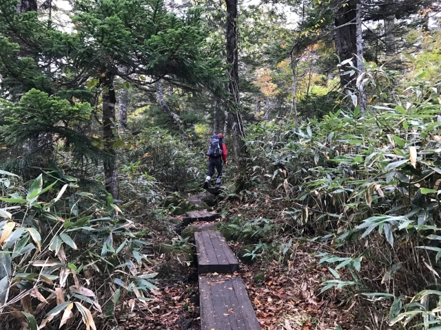 燧ヶ岳登山１