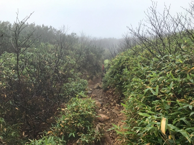 燧ヶ岳登山６