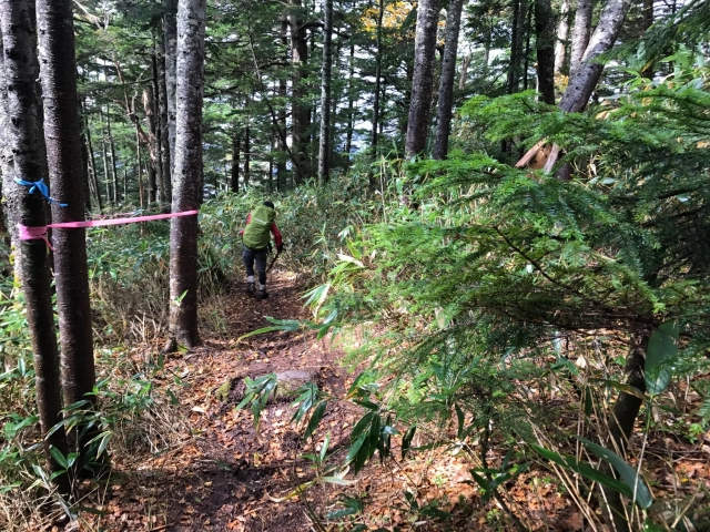 燧ヶ岳登山８