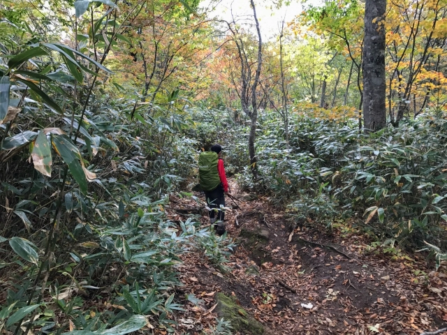 燧ヶ岳登山９