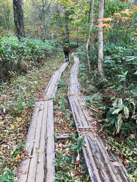 燧ヶ岳登山１２