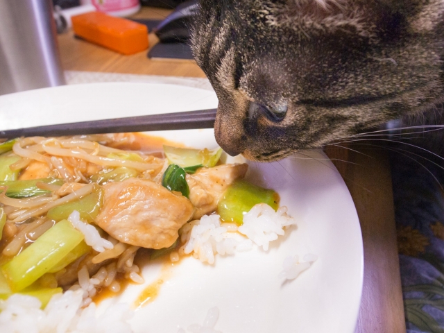 鶏胸肉とチンゲン菜のあんかけ炒めと猫２