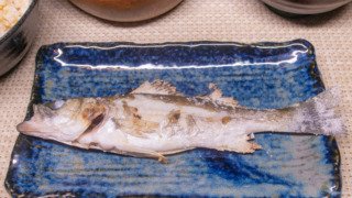 多摩川で釣ったセイゴの塩焼き