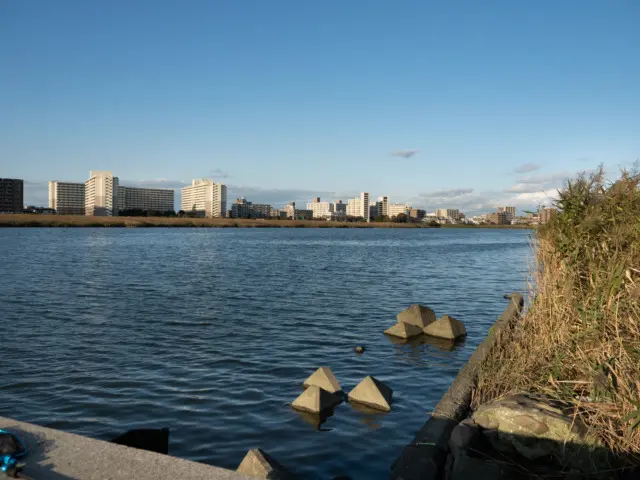 多摩川護岸