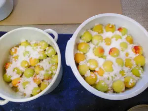 梅干し漬け2