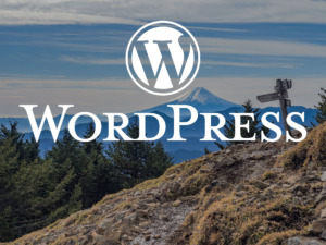 WordPress version up