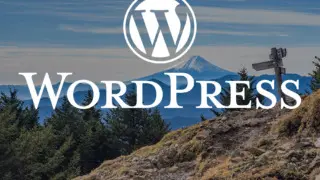 WordPress version up