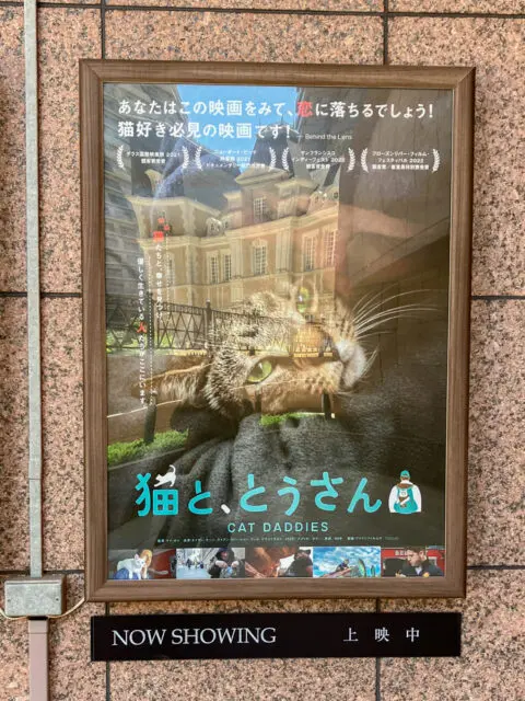『猫と、とうさん』パネルの写真