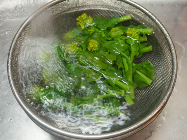 ゆでた菜の花を流水で冷ます写真