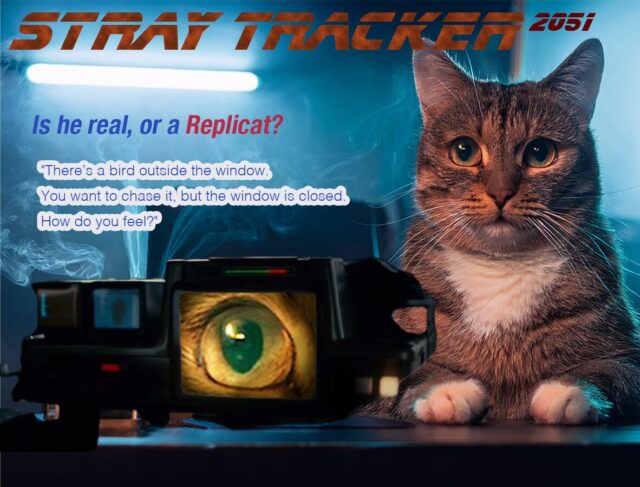 STRAY TRACKER 2051