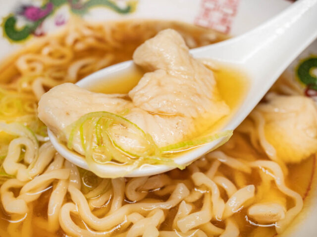 鶏胸肉とスープをレンゲですくった写真