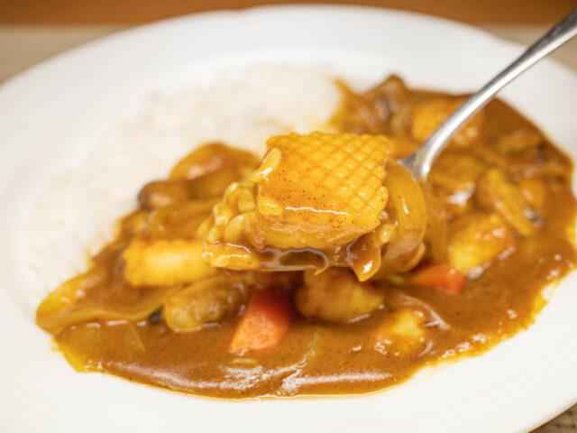 イカとカレーライスをスプーンにのせた写真