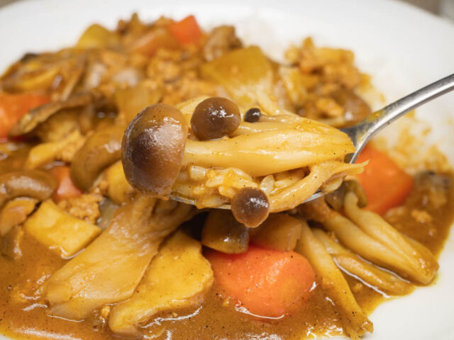 カレーをスプーンにのせた写真